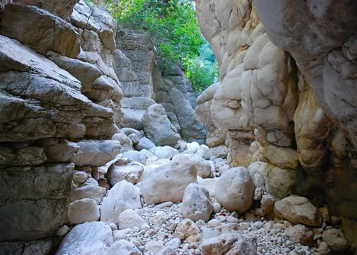 منزل ريفي Rural Barranc De L'infern